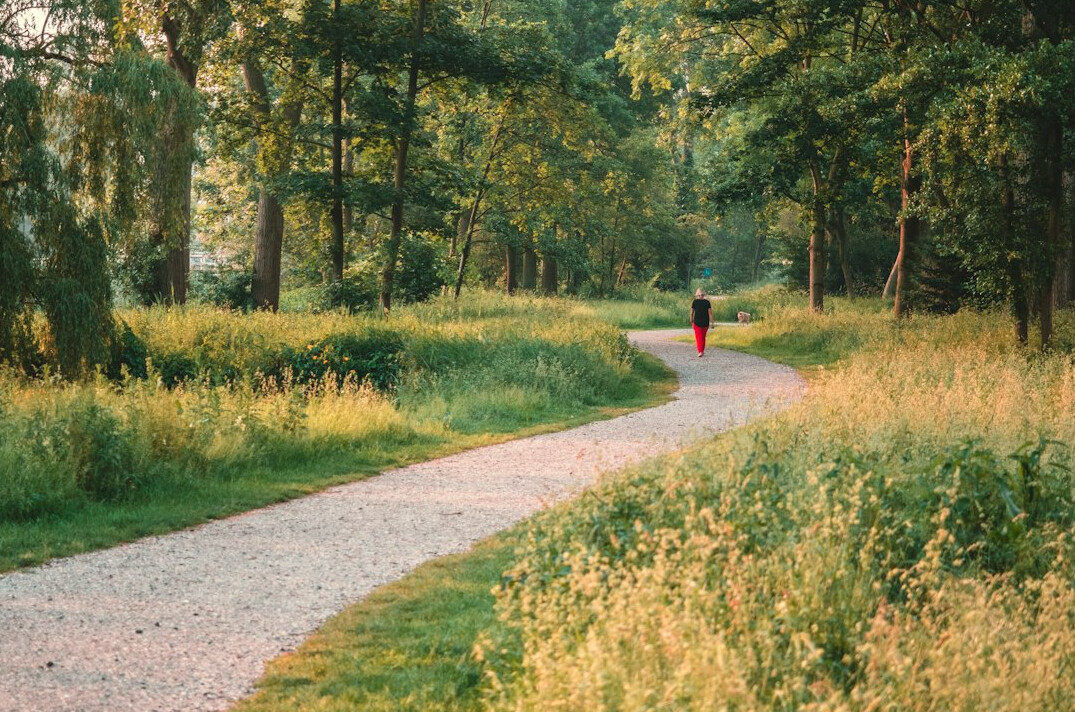 Winding path through a green park symbolizing personal growth