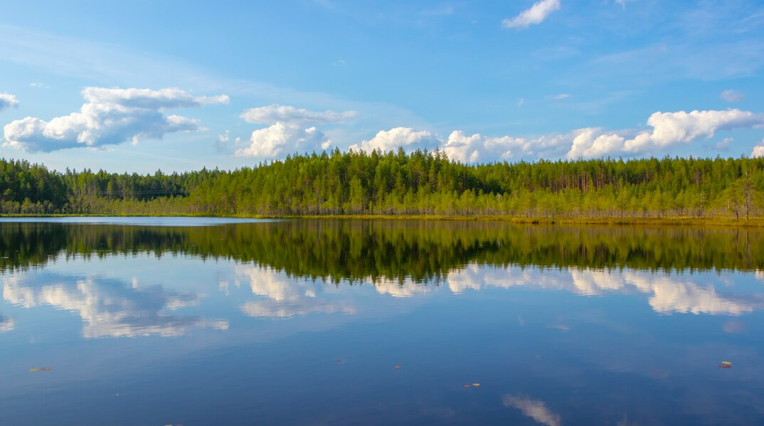 Calm lake reflecting the sky surrounded by green forest